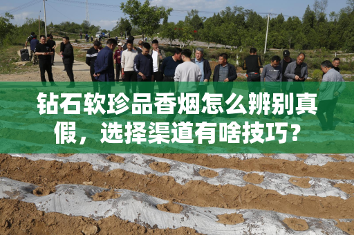 钻石软珍品香烟怎么辨别真假，选择渠道有啥技巧？
